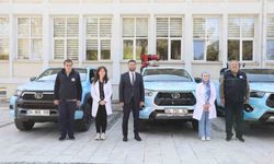 Kağıthane'de yaz aylarında haşereyle mücadele hız kazanıyor