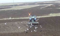Kars'ta soğuk hava tarımı etkiliyor, çiftçiler ekim için çabalıyor