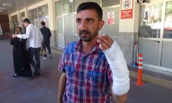 Kurban Bayramı'nda Şanlıurfa'da 232 acemi kasap hastanelik oldu