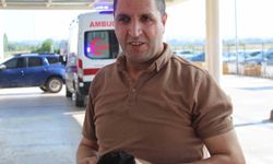 Kurban yerine kendini kesti, acemi kasap hastanelik oldu