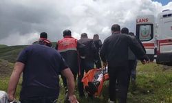 Mantar toplarken ayıdan feci saldırı