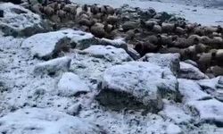 Mayıs sonunda Kars'a kar geri döndü, eksi 5 derecede sürpriz yağış
