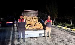 Muradiye'de yasadışı avcılıkla 800 kilo balık yakalandı