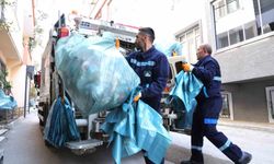 Osmangazi Belediyesi 73 bin ağacı kurtardı