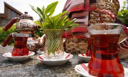 Rize'de Dünya Çay Günü kutlamaları
