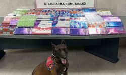Sakarya'da jandarma kaçakçılıkla mücadele ediyor