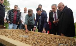 Salebin hasadı başladı: Kilosu 12 bin TL'ye ulaştı