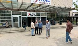 Şanlıurfa'da sahipsiz köpek saldırısında 70 yaşındaki adam yaralandı