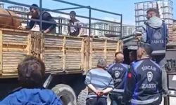 Sincan Belediyesi'nden ruhsatsız ahırlara denetim