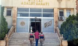 Trafik kazası sonrası kaçan şoför, jandarma tarafından yakalandı