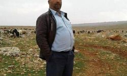 Traktör devrildi, sürücü hayatını kaybetti