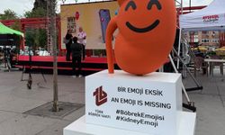 Türkiye'den dijital evrene çağrı: Böbrek sağlığına emojiler eklenmeli