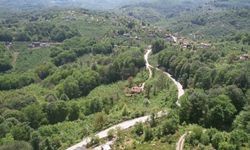 Zonguldak ormanları baharın gelişini dronla görüntüledi