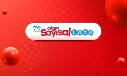 20 Haziran 2026 Çılgın Sayısal Loto sonuçları açıklandı! İşte kazandıran numaralar