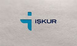 İŞKUR’dan kendi işini kuracaklara 735 bin TL’ye kadar hibe! Son başvuru 10 Temmuz