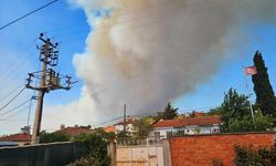 Susurluk'ta Orman Yangınına Hızlı ve Etkili Müdahale Devam Ediyor