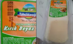 Tahsildaroğlu peynirde Listeria alarmı: Hangi ürün toplatıldı?