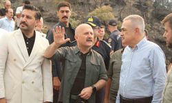 Vali Varol: 'Çine'deki orman yangınına 260 araç ve 805 personel müdahale ediyor'