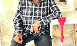 İzmir’de korku dolu gece: Evinin önünde uyuyan yaşlı adam ayı saldırısında hayatını kaybetti