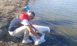80 Bin Yavru Balık Göletlere Salındı