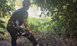 Adana'da kaybolan iki çocuk için geniş çaplı arama başlatıldı