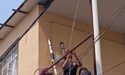 Adana'da tavanda mahsur kalan güvercin itfaiye tarafından kurtarıldı