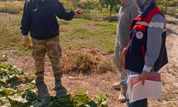 Afyonkarahisar'da Tarım İlaçları Üzerinde Denetimler Devam Ediyor