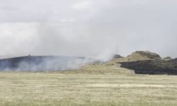 Ahlat-Tatvan yolunda yangın paniği yaşandı