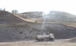 Ahlat'ta örtü yangını büyümeden söndürüldü