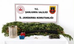 Akçakale'de uyuşturucu operasyonu: 1 kişi gözaltında