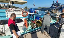 Akçakoca'da balık sezonu coşkusu başladı