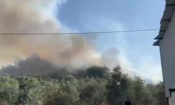Aksu'da Ormanlık ve Zeytinlik Alanda Yangın Tehlikesi
