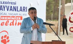 Aksu'da Sokak Hayvanları İçin Yeni Bakımevi Açıldı