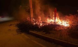 Alaca'da örtü yangını kontrol altına alındı
