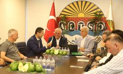 Alanya Avokadosu Avrupa Birliği Coğrafi İşaret Başvurusu Yapıldı