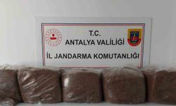 Alanya ve Demre'de 285 Kilogram Kaçak Tütün Yakalandı