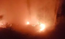 Alanya'da Orman Yangını: 2 Dönüm Alan Zarar Gördü