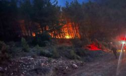 Alanya'da Orman Yangını Kontrol Altına Alındı