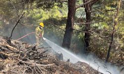 Alanya'daki orman yangını hızlı müdahale ile söndürüldü