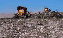 Aliağa ve Foça'daki Orman Yangınları Sonrası Ağaçlandırma Faaliyetleri Devam Ediyor