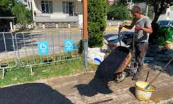 Altıeylül'de Park Yenileme Çalışmaları Başladı