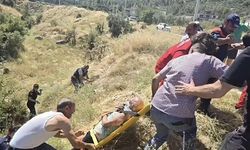 Alzheimer hastası yaşlı adam, dron ve köpeklerle kurtarıldı