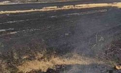 Anız Yangını Kontrolden Çıktı, Bin Dönüm Alan Kül Oldu