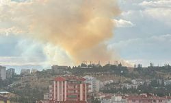Ankara'da Otluk Alanda Çıkan Yangın Kontrol Altına Alınıyor