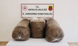 Antalya'da Kaçak Tütün Operasyonu: 365 Kilo Ele Geçirildi
