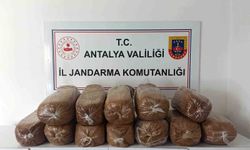Antalya'da üç ilçede kaçak tütün operasyonu: 785 kilo tütün ele geçirildi