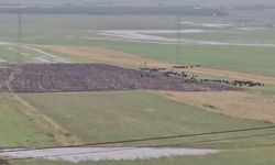 Ardahan'da Şiddetli Yağış ve Dolu Yağışı Zarar Verdi