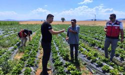 Aslanapa'da tarım üreticilerine destek ziyareti