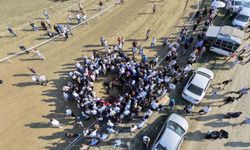At Yarışında Kaza: İki At Telef Oldu, Jokey Kurtuldu