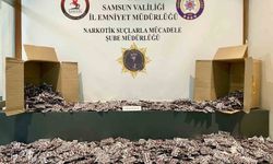 Atakum'da 46 bin uyuşturucu hap bulundu